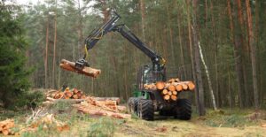 setor florestal SPEEDDATA